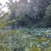 SUPER  OCAZIE TEREN 4000MP DE VANZARE IN SNAGOV CU DESCHIDERE LA LACUL SNAGOV