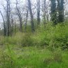 SUPER  OCAZIE TEREN 4000MP DE VANZARE IN SNAGOV CU DESCHIDERE LA LACUL SNAGOV