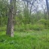 SUPER  OCAZIE TEREN 4000MP DE VANZARE IN SNAGOV CU DESCHIDERE LA LACUL SNAGOV