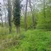 SUPER  OCAZIE TEREN 4000MP DE VANZARE IN SNAGOV CU DESCHIDERE LA LACUL SNAGOV
