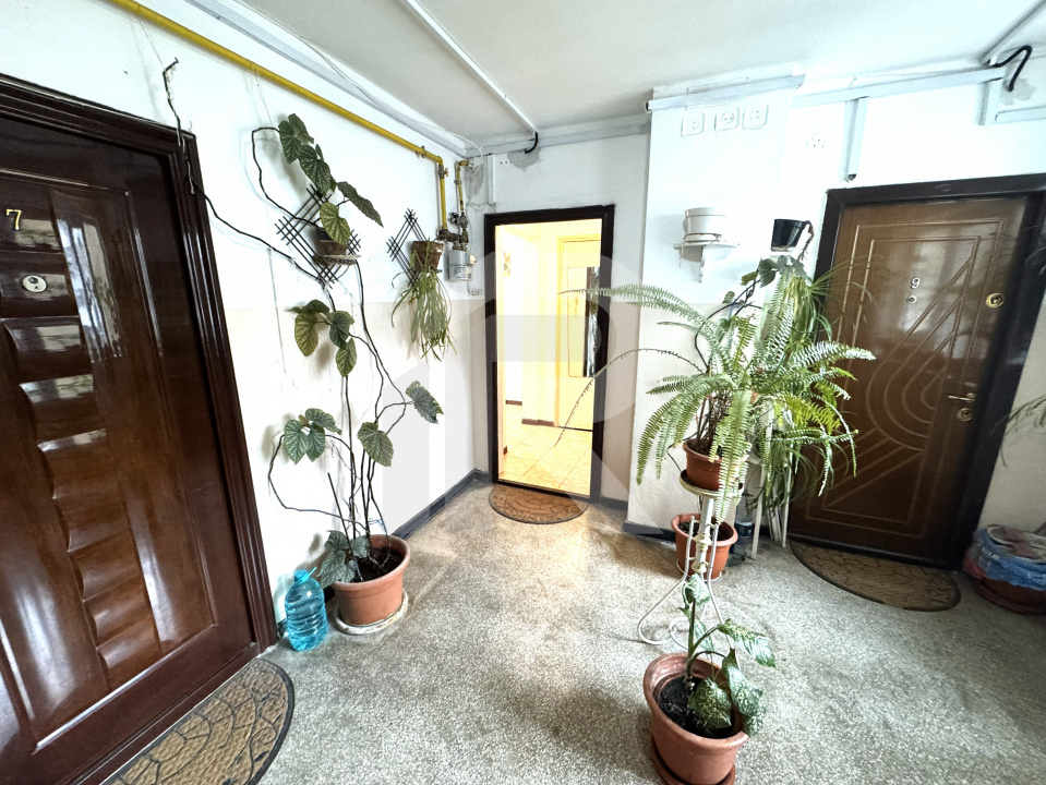 de inchiriat apartament 2 camere, Nord, Judetean, Cameliei